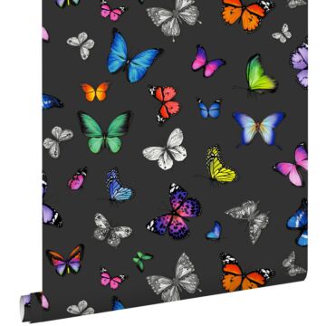 papel pintado mariposas multi color sobre negro