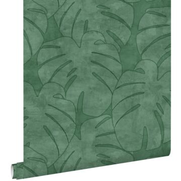 papel pintado hojas de monstera verde oscuro