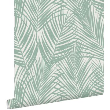 papel pintado hojas de palmera menta verde