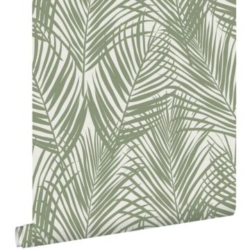 papel pintado hojas de palmera verde oliva agrisado