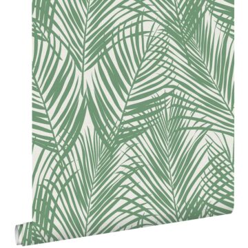 papel pintado hojas de palmera jade verde