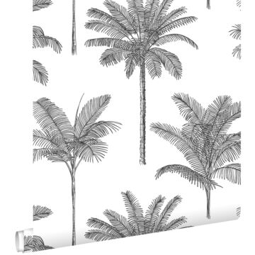 papel pintado palmeras blanco y negro