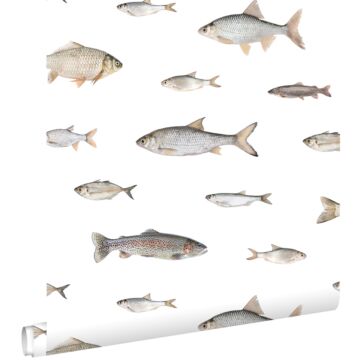 papel pintado peces gris
