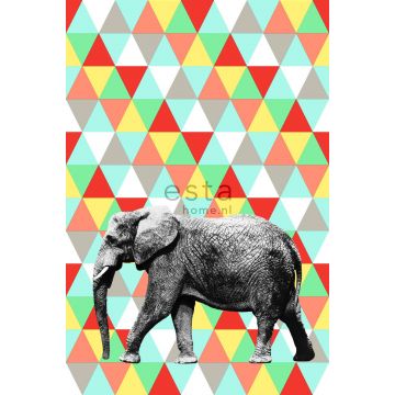 fotomural elefante multi color