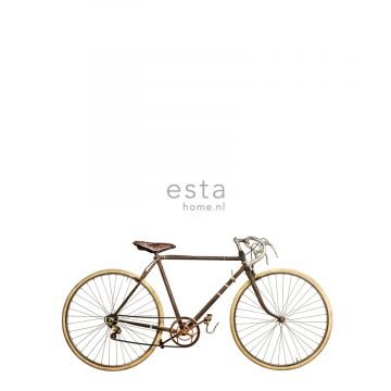 fotomural vieja bicicleta blanco, marrón y beige