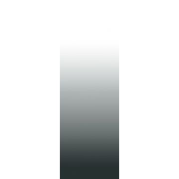 fotomural gradiente de color dip-dye del suelo al techo blanco y negro