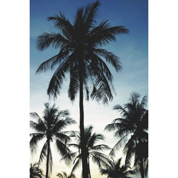 fotomural palmeras azul, negro y beige