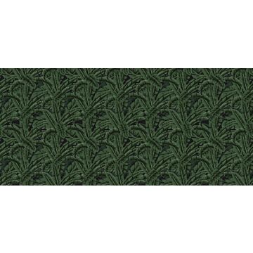 fotomural hojas de banano verde selva tropical
