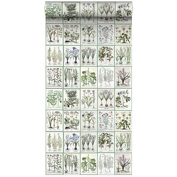 papel pintado XXL páginas de un libro botánico de flores y plantas verde