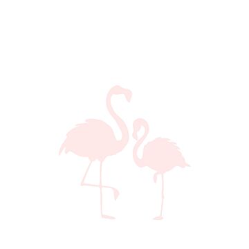 fotomural flamencos madre e hijo rosa claro y blanco