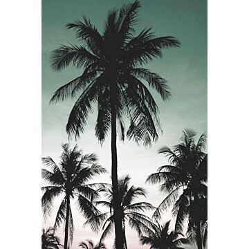 fotomural palmeras verde pertróleo