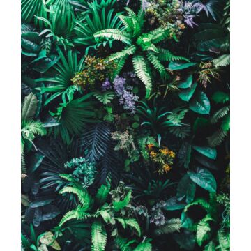 fotomural plantas tropicales verde