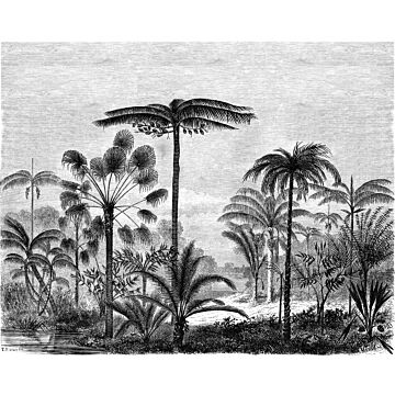 fotomural paisaje con palmeras blanco y negro